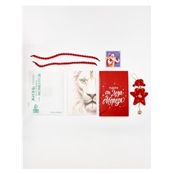 Пакет подарочный «Новогодний подарок», с ёлочной игрушкой и шильдиком, 18×23×11 см