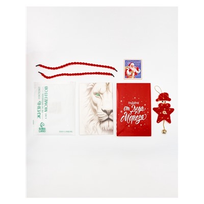 Пакет подарочный «Новогодний подарок», с ёлочной игрушкой и шильдиком, 18×23×11 см