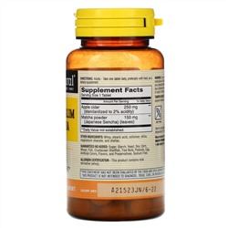 Mason Natural, Apple Cider Slim Plus Matcha, 90 Tablets