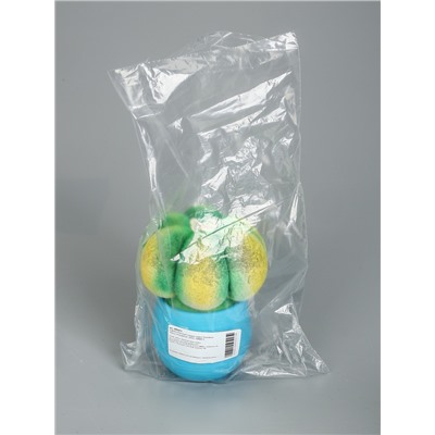 УЦЕНКА Растущий подарок травка Экоживчик «Кактус Астрофитум» МИКС