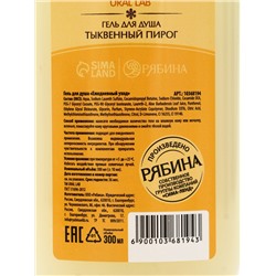 Подарочный набор новогодний «Тёплые объятия», гель для душа 300 мл и лосьон для тела 85 мл, URAL LAB