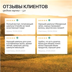 Шампунь для сухих и ослабленных волос с маслом кедра и экстрактом календулы, здоровые и блестящие, 300 мл, ECO LAB by URAL LAB