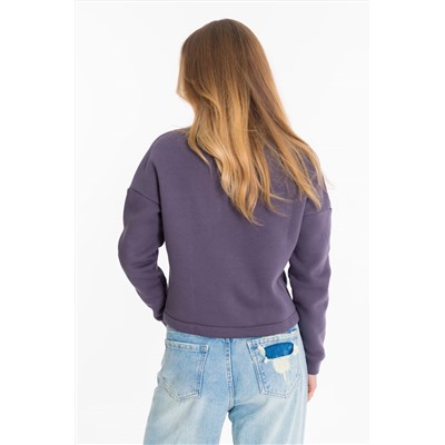 Толстовка на молнии (укор.) 322244Wbф