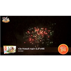 Фейерверк ЕС502 За Новый Год! (1" х 48)