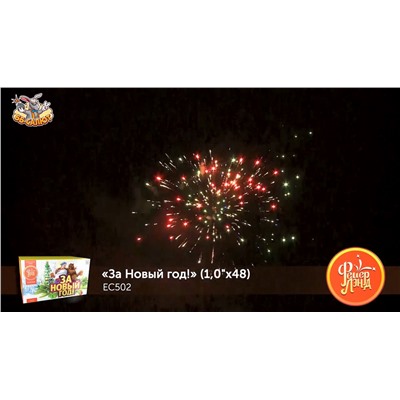 Фейерверк ЕС502 За Новый Год! (1" х 48)