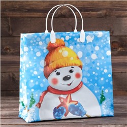 Пакет подарочный новогодний «Снежный друг», мягкий пластик, 30×30 см