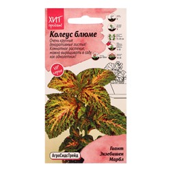 Семена Цветов Колеус блюме «Гиант Экзибишен Марбл», 10 шт., «Агросидстрейд»