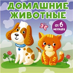 АСТ Игнатова А.С. "Домашние животные"