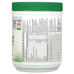 Garden of Life, Raw Organic Perfect Food, Green Superfood, Apple, 8.14 oz (231 g)