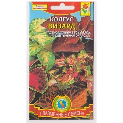 Колеус Визард (Код: 75925)