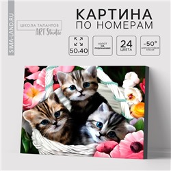 Картина по номерам на холсте с подрамником «Котята», 40×50 см