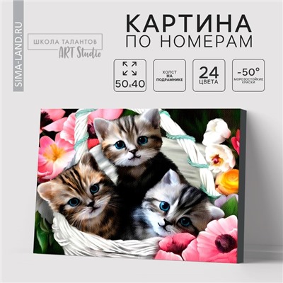 Картина по номерам на холсте с подрамником «Котята», 40×50 см