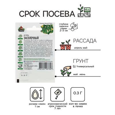Семена Огурец "Засолочный", среднеранний, пчелоопыляемый, 0,3 г