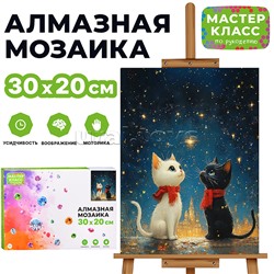 Мозаика алмазная "Два кота под звездным небом" 20*30см.