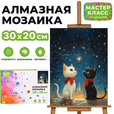 Мозаика алмазная "Два кота под звездным небом" 20*30см.