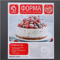 Противень для выпечки Доляна «Софт. Прямоугольник», 40.5×25.5×5.5 см, с силиконовыми ручками, антипригарное покрытие, чёрный