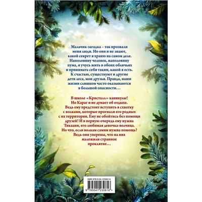 Эксмо Катя Брандис "Дети леса. Караг и волчье испытание (#7)"