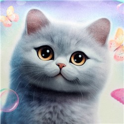 Рюкзак детский «Кот с бабочками»