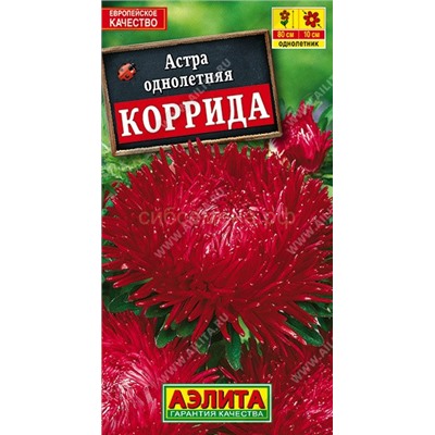 Астра Коррида коготковая (Аэлита)