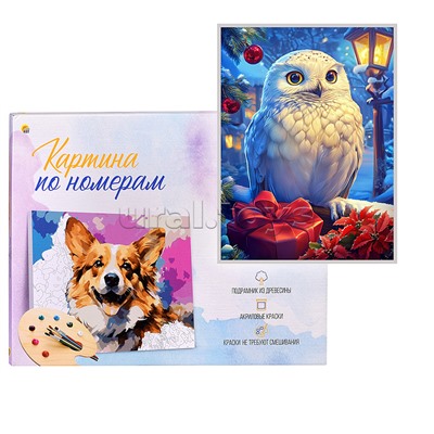 Холст с красками 17х22 по номерам "Белоснежная сова с подарком" в коробке (14цв.)