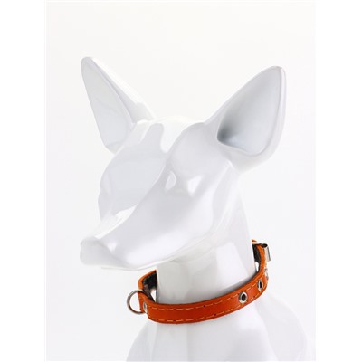 Ошейник, 30.5×1.2 см, ОШ 20-27 см, однослойный, неукрашенный, на фетре, кожа, оранжевый