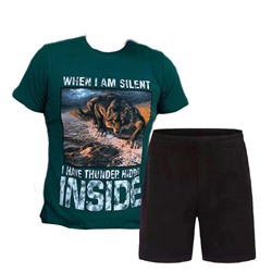 Костюм двойка