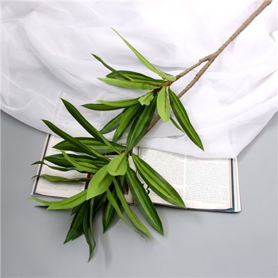 Цветы искусственные «Пальма домашняя люкс полоска», h=83 см, зелёные