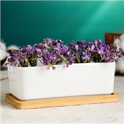 Горшок для кактусов и суккулентов «Бонсайка», 17×8×6 см, керамический, с поддоном, белый