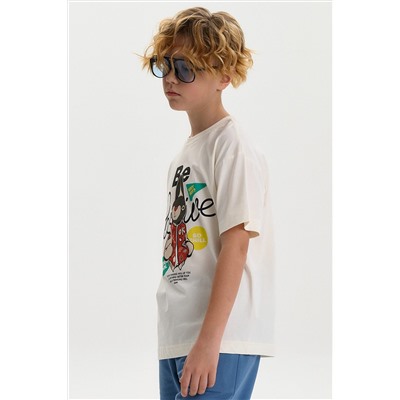 Футболка для мальчиков PELICAN, 1241603