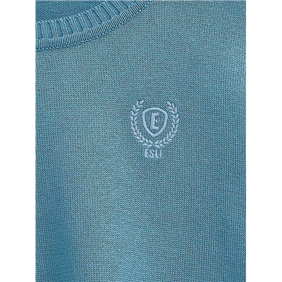 Джемпер для мальчика ESLI 16С-32СП Джемпер для мальчиков