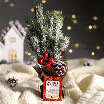 Композиция «Новогодние веточки с шишками», 20×22×27 см