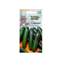 Семена Огурец «Динамит», F1, 10 шт., «Гавриш»
