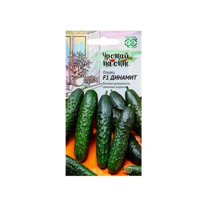 Семена Огурец «Динамит», F1, 10 шт., «Гавриш»