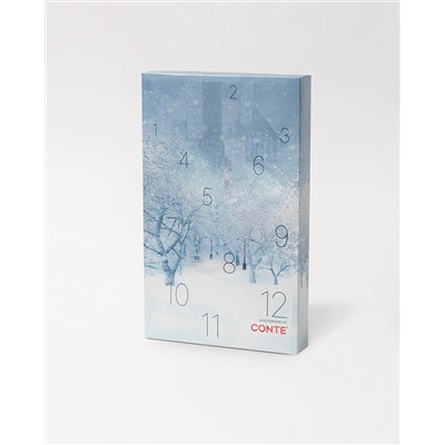 Conte elegant Носки NEW YEAR (коробочка)