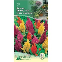 Целозия Перистая смесь окрасок, 0,2г (цв.)