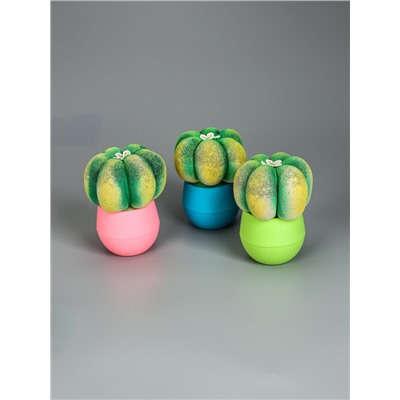 УЦЕНКА Растущий подарок травка Экоживчик «Кактус Астрофитум» МИКС