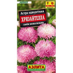 Астра Хризантелла Люби меня нежно (Код: 93513)