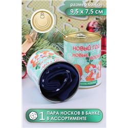 Носки GL723 в банке Новый год