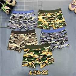 трусы 5шт 1979251-2