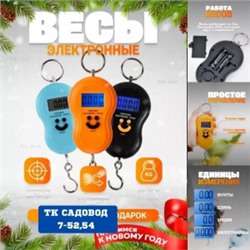 Весы ручные #23022353