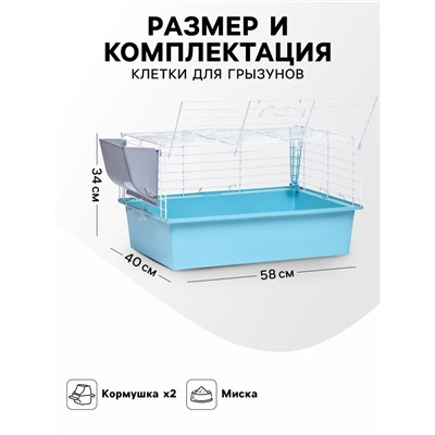 Клетка для грызунов «Пижон» №1 складная, 58×40×34 см (+миска, 2 кормушки), бирюзовая