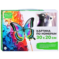 Набор для рисования "Картина по номерам 30х20 см. Инь и Янь"