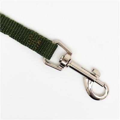 Поводок, 3 м, ширина 1.5 см, зелёный