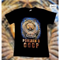 Футболка мужская