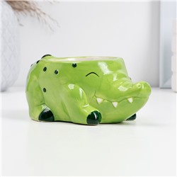 Декоративное кашпо для цветов «Крокодил», 14×9×8 см, керамика, зелёное