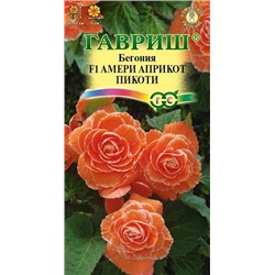 Бегония Амери Априкот Пикоти F1 (Код: 90666)