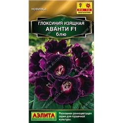 Глоксиния Аванти Блю F1 (Код: 93544)