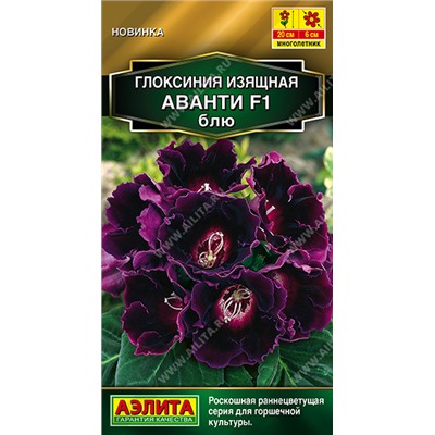 Глоксиния Аванти Блю F1 (Код: 93544)