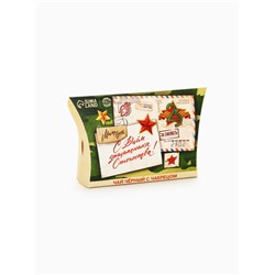 Чай подарочный «Праздник сильных. 23 февраля», вкус: чабрец, 20 г