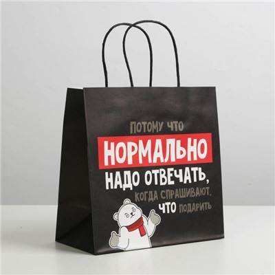 Пакет подарочный новогодний «Нормально надо отвечать», 22×22×11 см